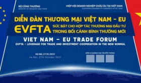 Vietnam-EU Free Trade Conference entitled «European Union - Vietnam A Free Trade Agreement: Leverage for Trade-Investment Cooperation in New Normal Conditions»